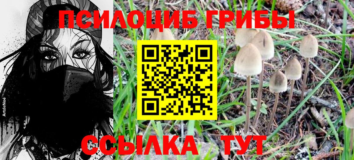 Псилоцибиновые грибы Magic Shrooms Кизилюрт